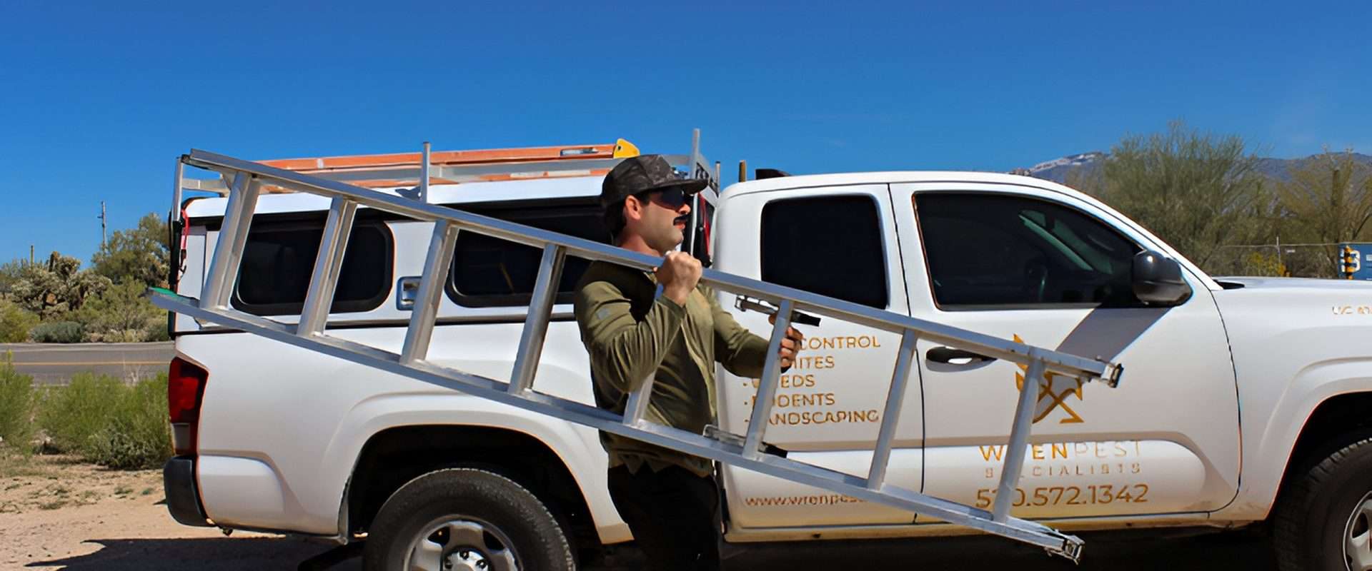 Wren Pest owner Tom inspecting property with ladder for termite treatment