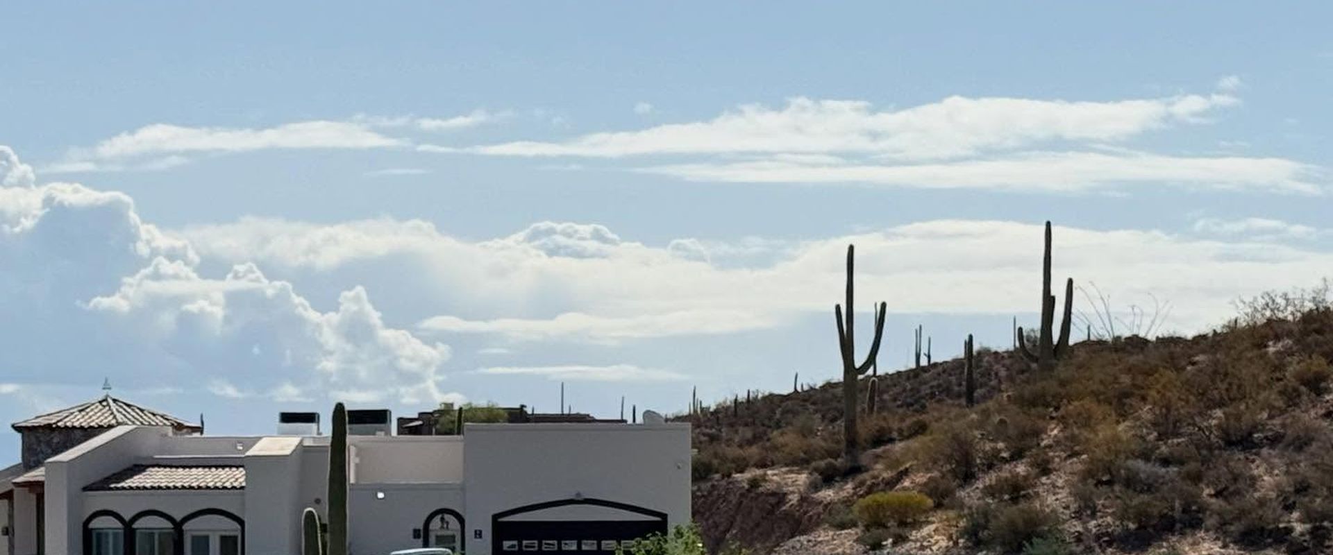 Desert home in Vail Arizona with saguaro cacti — Wren Pest service area