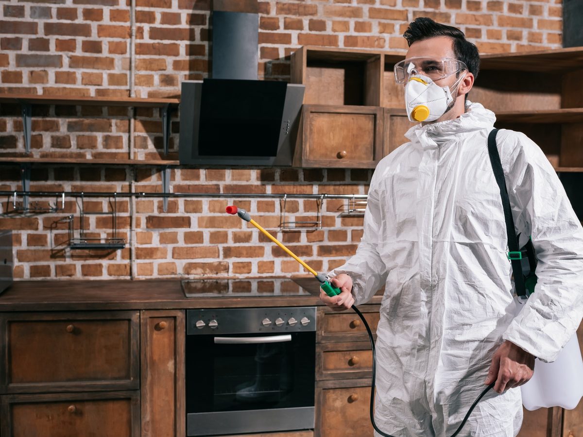 Technician performing interior treatment in a kitchen