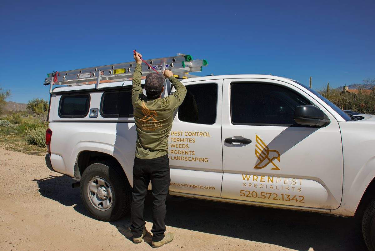 Wren Pest technician grabbing ladder from branded truck for rodent exclusion and roofline inspection in Tucson