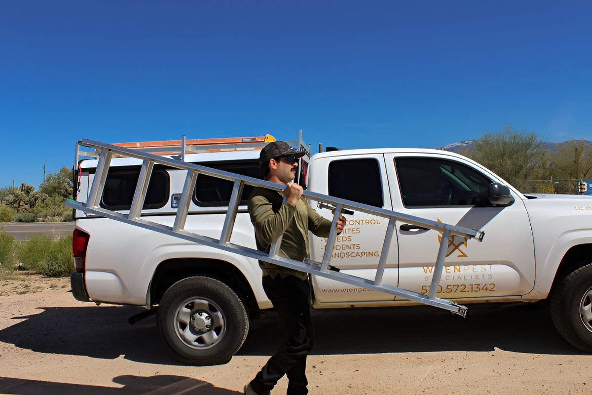 Wren Pest technician on ladder performing bee hive removal from a Tucson home